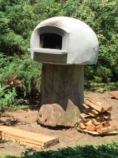 Paleo oven on stump in Islip, New York
